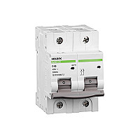 Automatinis jungiklis 2 polių C 100A AC 20kA Noark internetu